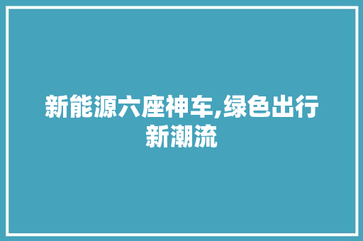 新能源六座神车,绿色出行新潮流 汽车配件