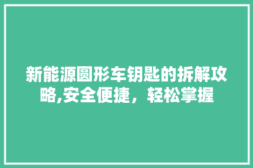 新能源圆形车钥匙的拆解攻略,安全便捷，轻松掌握