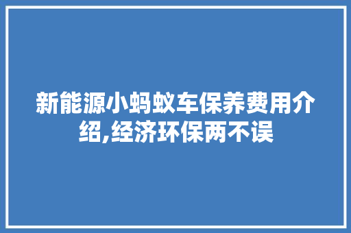 新能源小蚂蚁车保养费用介绍,经济环保两不误