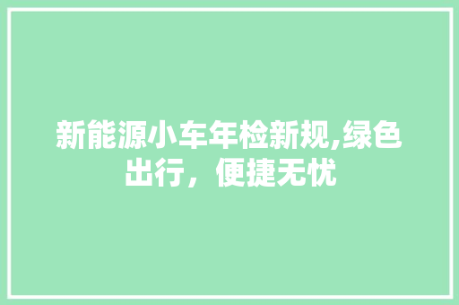 新能源小车年检新规,绿色出行，便捷无忧