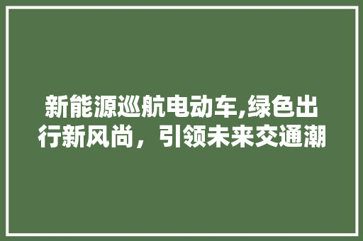新能源巡航电动车,绿色出行新风尚，引领未来交通潮流