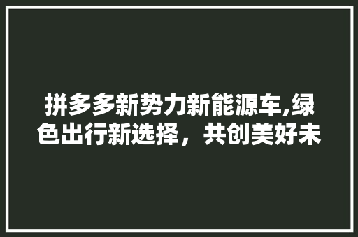 拼多多新势力新能源车,绿色出行新选择，共创美好未来