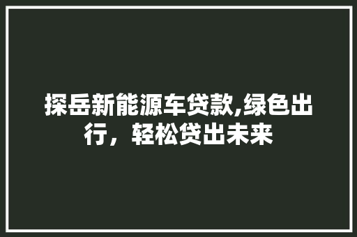 探岳新能源车贷款,绿色出行，轻松贷出未来