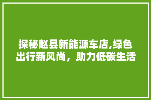 探秘赵县新能源车店,绿色出行新风尚，助力低碳生活