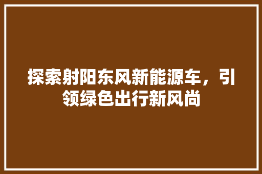 探索射阳东风新能源车，引领绿色出行新风尚