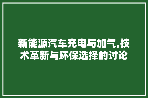 新能源汽车充电与加气,技术革新与环保选择的讨论