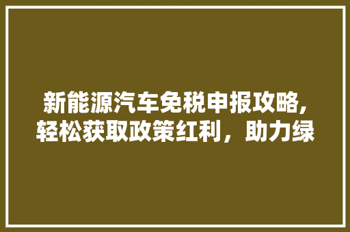 新能源汽车免税申报攻略,轻松获取政策红利，助力绿色出行