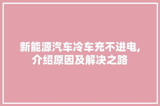 新能源汽车冷车充不进电,介绍原因及解决之路