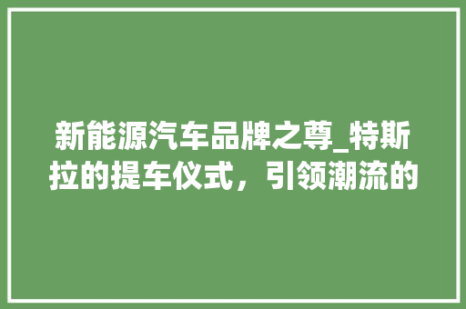 新能源汽车品牌之尊_特斯拉的提车仪式，引领潮流的尊贵体验