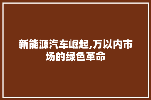 新能源汽车崛起,万以内市场的绿色革命