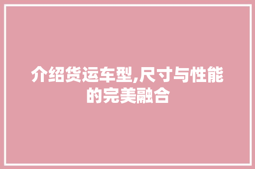 介绍货运车型,尺寸与性能的完美融合