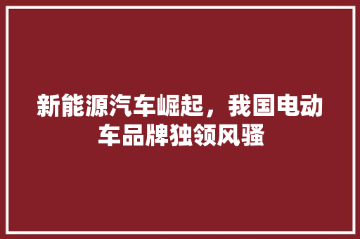新能源汽车崛起，我国电动车品牌独领风骚