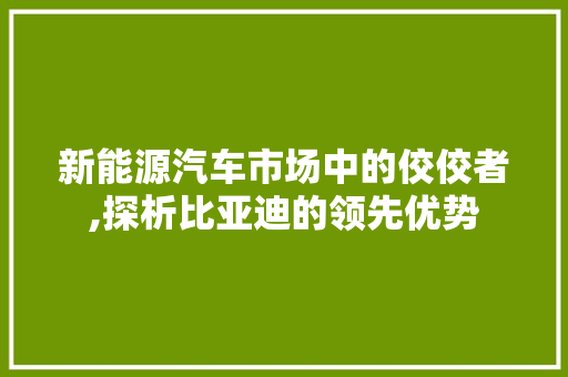 新能源汽车市场中的佼佼者,探析比亚迪的领先优势