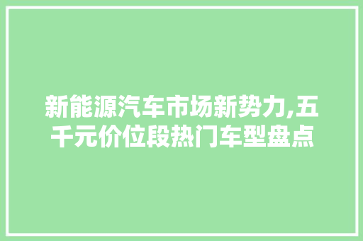 新能源汽车市场新势力,五千元价位段热门车型盘点