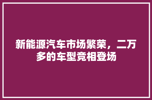新能源汽车市场繁荣，二万多的车型竞相登场