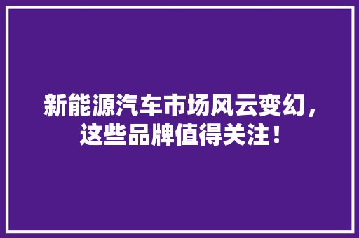 新能源汽车市场风云变幻，这些品牌值得关注！
