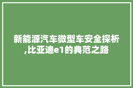 新能源汽车微型车安全探析,比亚迪e1的典范之路