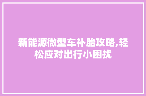 新能源微型车补胎攻略,轻松应对出行小困扰