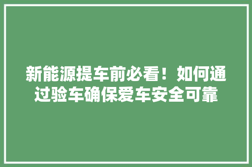 新能源提车前必看！如何通过验车确保爱车安全可靠