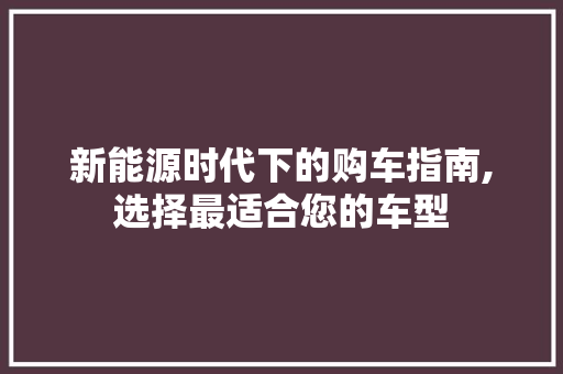 新能源时代下的购车指南,选择最适合您的车型