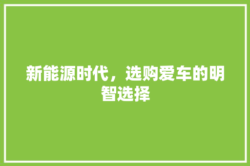 新能源时代，选购爱车的明智选择