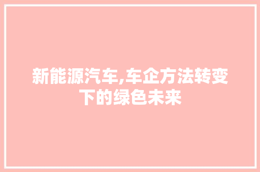 新能源汽车,车企方法转变下的绿色未来