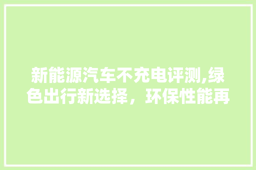 新能源汽车不充电评测,绿色出行新选择，环保性能再升级 车联网技术