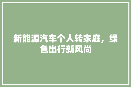 新能源汽车个人转家庭，绿色出行新风尚