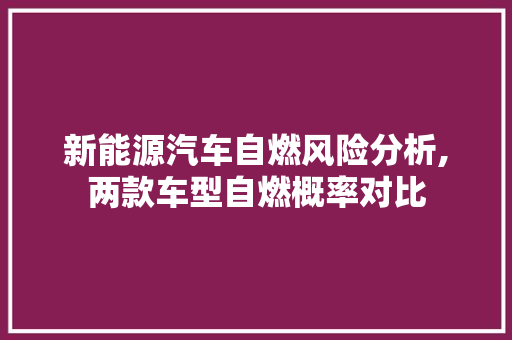 新能源汽车自燃风险分析,两款车型自燃概率对比 车载导航