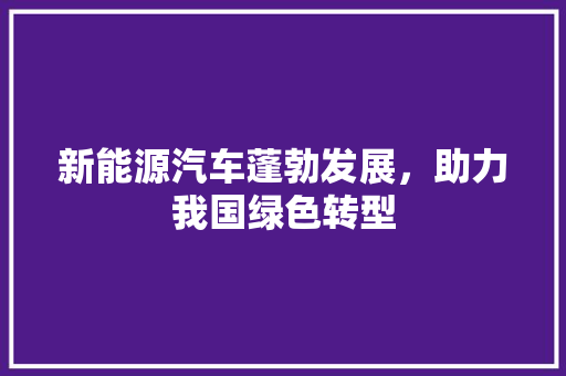 新能源汽车蓬勃发展，助力我国绿色转型