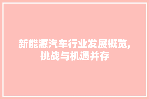 新能源汽车行业发展概览,挑战与机遇并存 车型评测