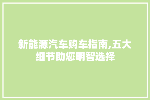 新能源汽车购车指南,五大细节助您明智选择 汽车展览