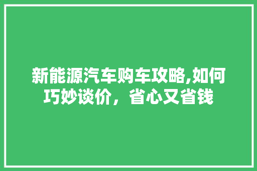新能源汽车购车攻略,如何巧妙谈价，省心又省钱