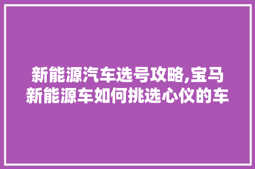 新能源汽车选号攻略,宝马新能源车如何挑选心仪的车牌