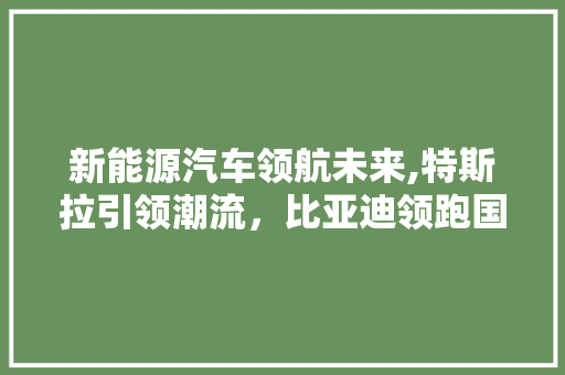 新能源汽车领航未来,特斯拉引领潮流，比亚迪领跑国内市场