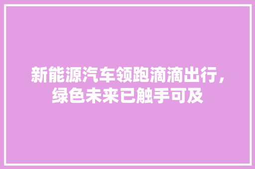 新能源汽车领跑滴滴出行，绿色未来已触手可及