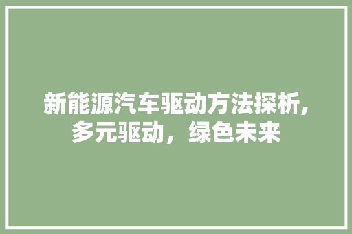 新能源汽车驱动方法探析,多元驱动，绿色未来