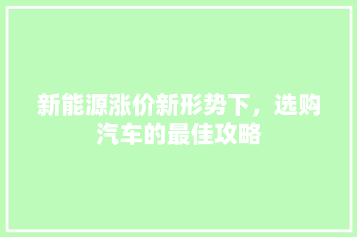 新能源涨价新形势下，选购汽车的最佳攻略 车联网技术
