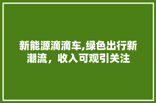 新能源滴滴车,绿色出行新潮流，收入可观引关注