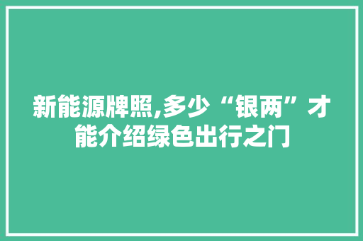 新能源牌照,多少“银两”才能介绍绿色出行之门
