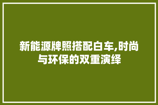 新能源牌照搭配白车,时尚与环保的双重演绎