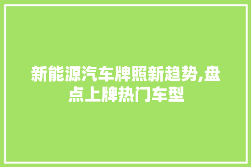 新能源汽车牌照新趋势,盘点上牌热门车型