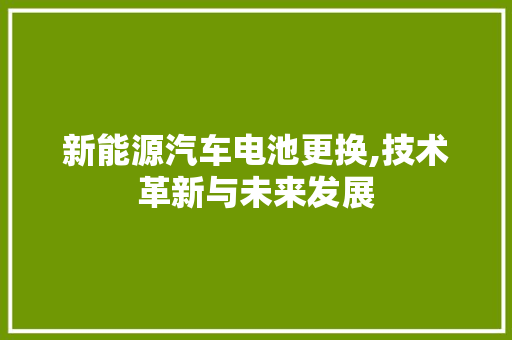 新能源汽车电池更换,技术革新与未来发展