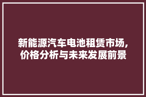 新能源汽车电池租赁市场,价格分析与未来发展前景