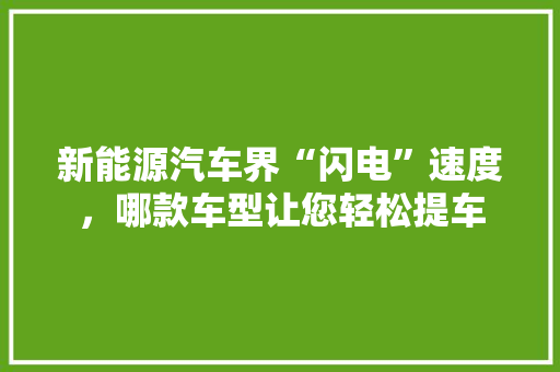 新能源汽车界“闪电”速度，哪款车型让您轻松提车 汽车轮胎