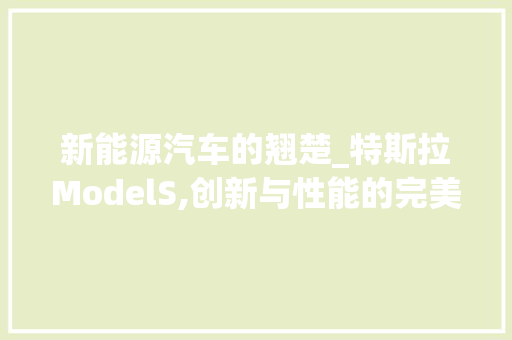 新能源汽车的翘楚_特斯拉ModelS,创新与性能的完美融合