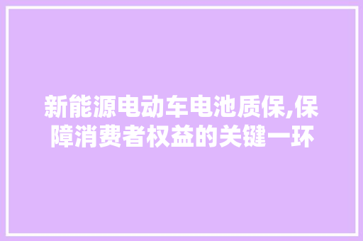 新能源电动车电池质保,保障消费者权益的关键一环