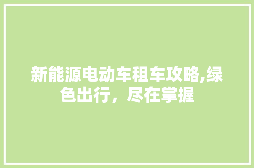 新能源电动车租车攻略,绿色出行，尽在掌握 汽车保养