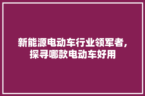 新能源电动车行业领军者,探寻哪款电动车好用