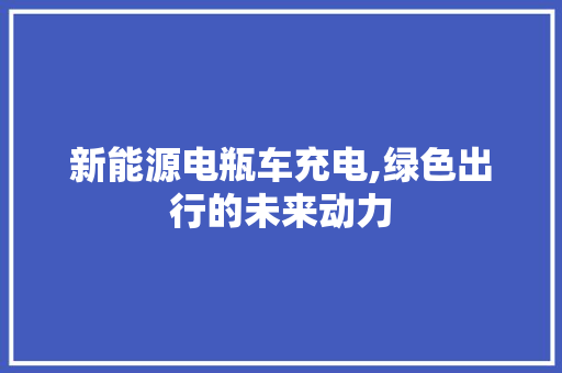 新能源电瓶车充电,绿色出行的未来动力